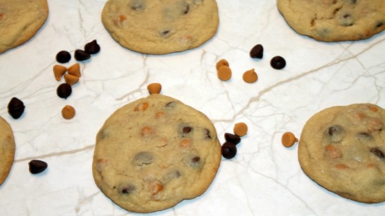 Chocolate Chip and Butterscotch Chip Cookies Chocolate Chip and Butterscotch Chip Cookies