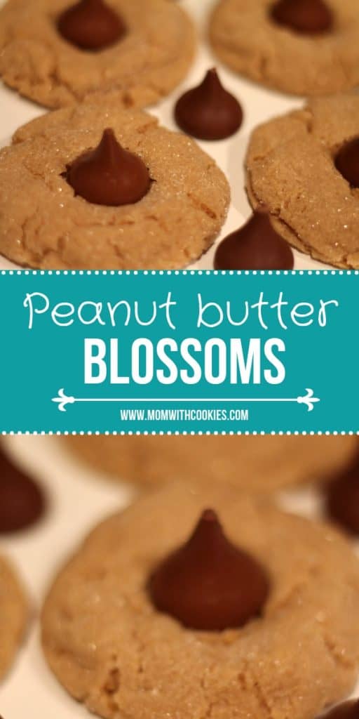 Peanut butter blossoms with close up of the cookie.