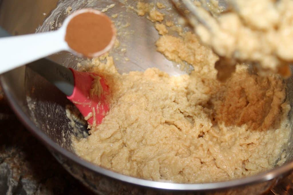 adding ground cinnamon to the cookie batter