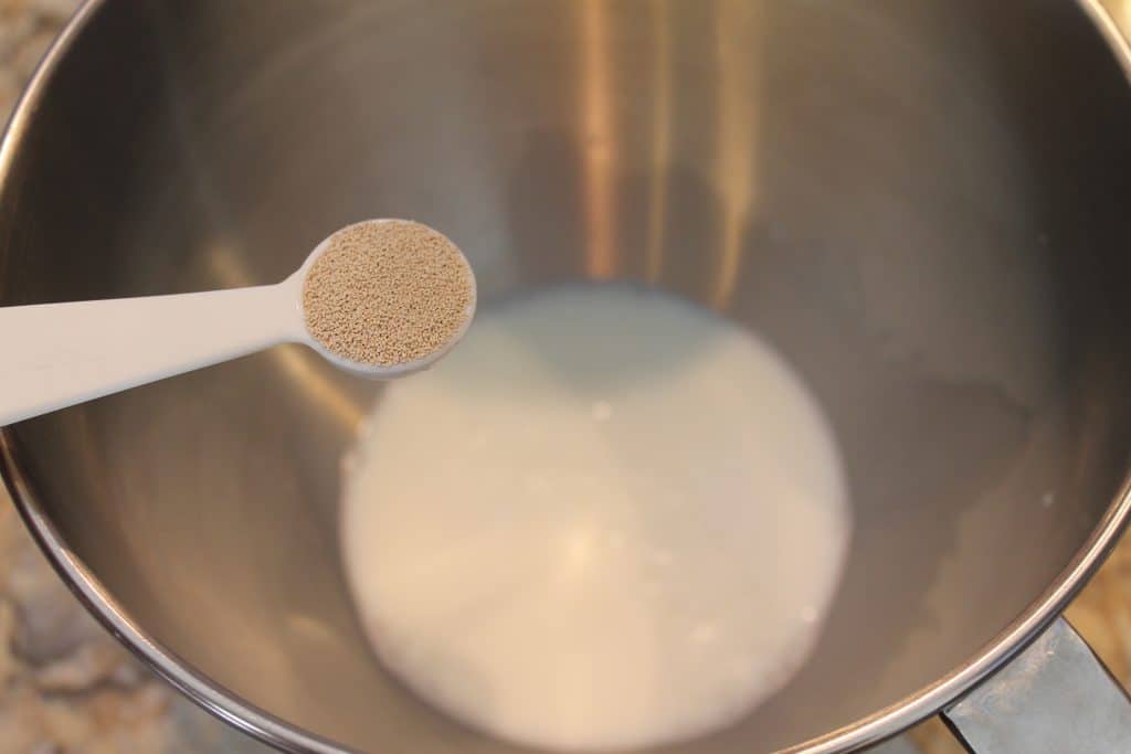adding yeast to a mixing bowl with warm milk