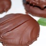 chocolate thin mint cookies on a plate with a mint leaf in the background