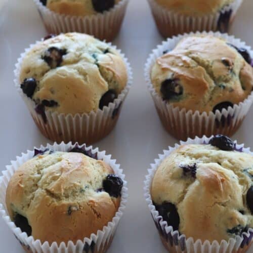 6 jumbo blueberry muffins on a white serving tray