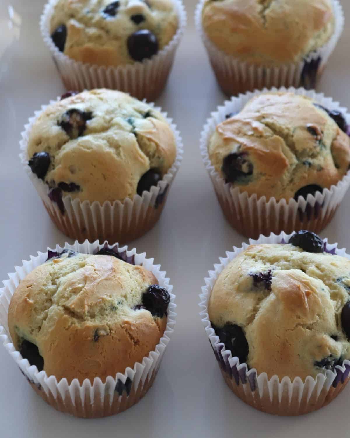6 jumbo blueberry muffins on a white serving tray