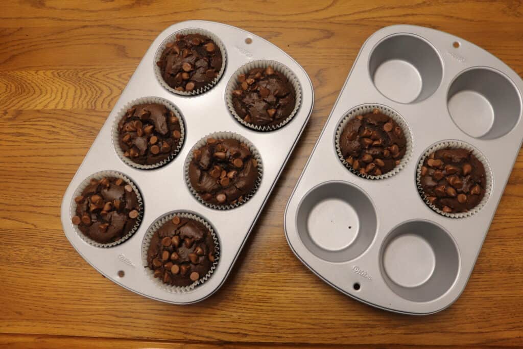 two jumbo muffin pans with double chocolate chip muffins freshly baked in them