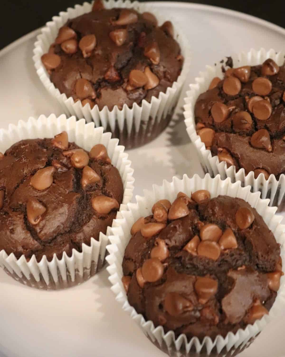 four jumbo sized double chocolate chip muffins on a large dinner plate