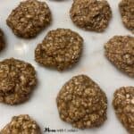 homemade no bake cookies that are high in protein