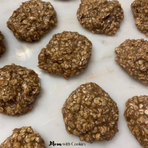 homemade no bake cookies that are high in protein